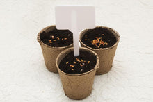 Load image into Gallery viewer, Biodegradable cardboard pots
