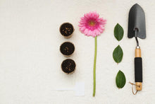Load image into Gallery viewer, Gardening hand trowel
